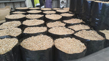Load image into Gallery viewer, Planter Bags Pumice & Sawdust PB18
